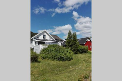 Lovely Small Farm With Green House And Chickens