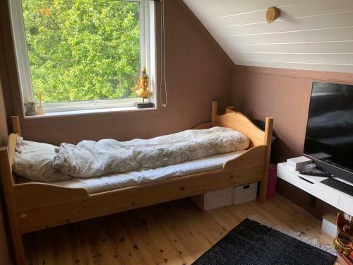 Apartamento Aid Og Svein? S Sentrumsn�re Panorama Hjem
