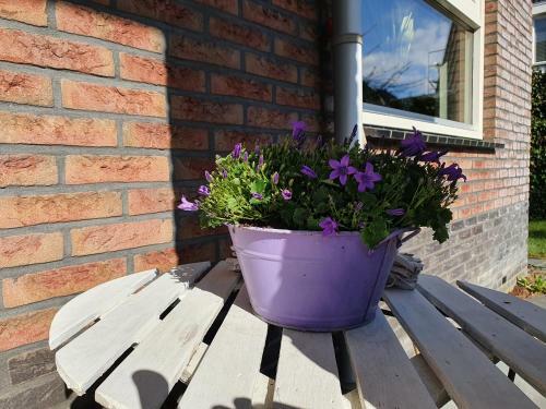 Bed & Breakfast Casa Lely