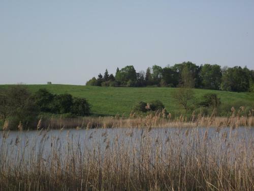Ferienhaus Auf Gro�em Wassergrundst�ck Mit Kamin
