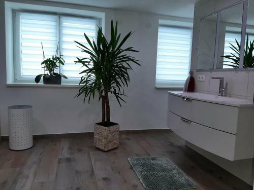 Apartamento Ferienwohnung Bergele