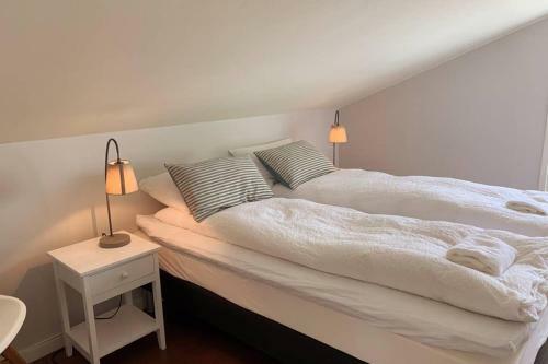 Moldegaard Riding Lodge