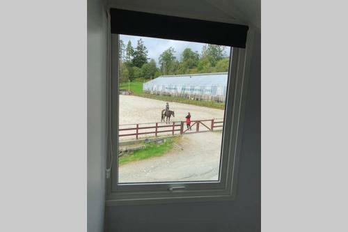 Moldegaard Riding Lodge