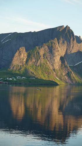 Lofoten Panoramic Luxury Home With Sauna