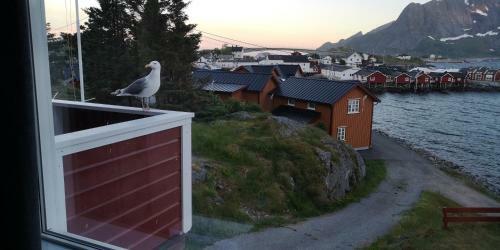Lofoten Panoramic Luxury Home With Sauna