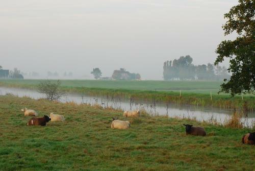Dobberhuisje