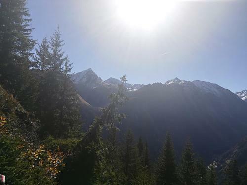 Apartamentos Wohlf�hlpension Tirolerhof