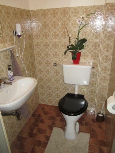 Hostal G�stehaus Holzfeind