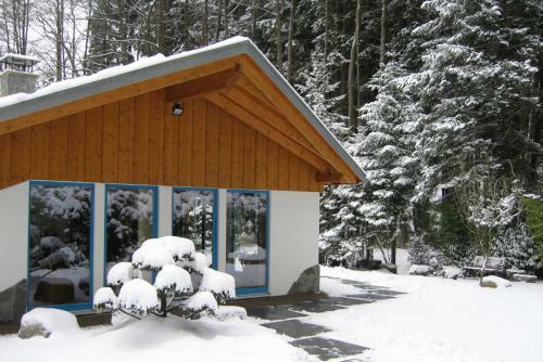 Bio-ferienhaus-eifel