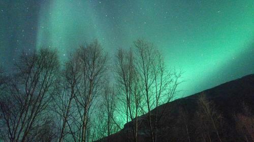 Ballangen Camping