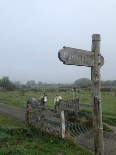 Schaap8 Bed En Breakfast