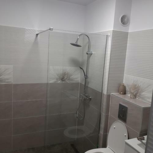 New Aparthotel Floresti