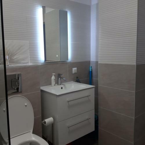 New Aparthotel Floresti