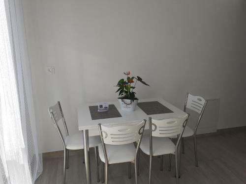 Sara Apartman