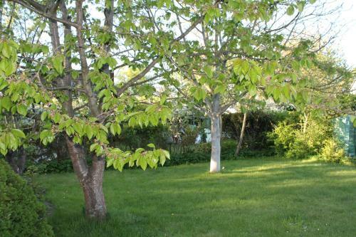 Apartamento Lutzi�s Ferienwohnung