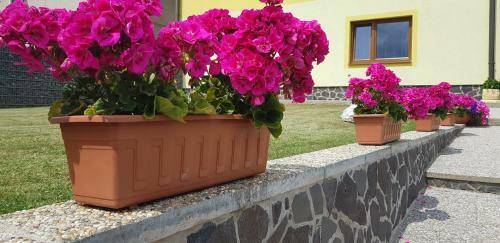 Apartman Zatura