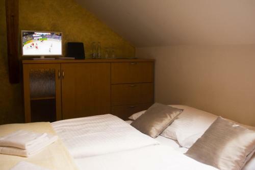 Hostal Penzi�n Kamenn� Dvor