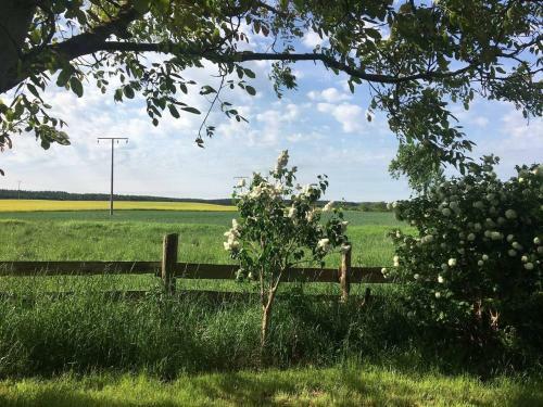 Landhausidylle In Naturparkn�he