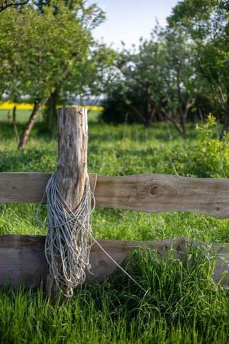 Landhausidylle In Naturparkn�he