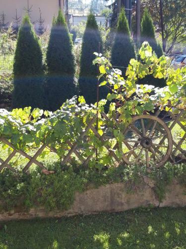 Apartment Magdalena With Garden And Free Bicycles