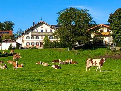 Apartamento Thomanhof