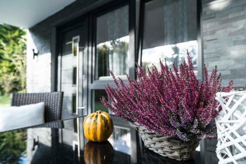 Apartamento Ferienwohnung Saalhausen Sauerland