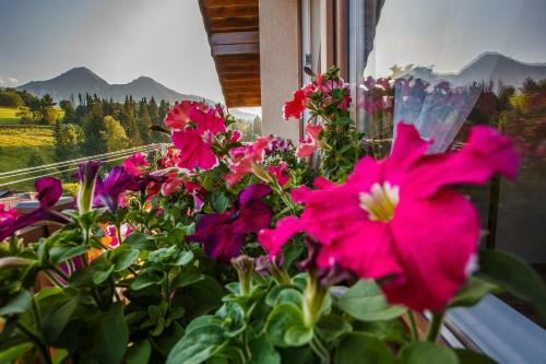 Apartamento Privat Gazda Pension