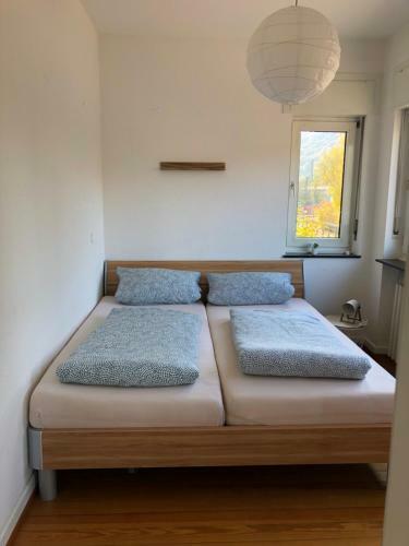 Saarburg Wine Apartments