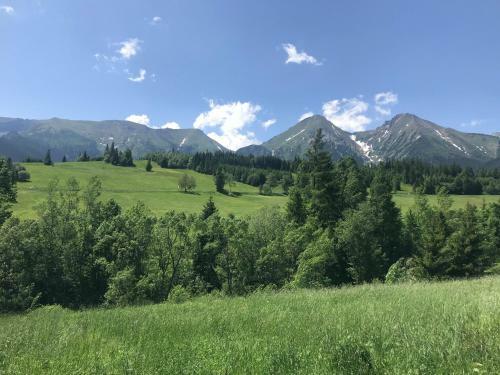 Hostal Penzi�n Bachleda