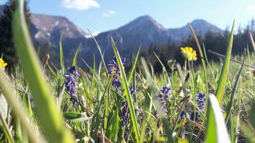 Lodge Chal�pka U Babi?ky