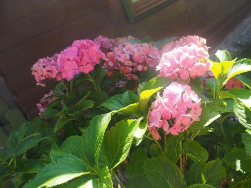 Ferienh�tte In Ruhpolding