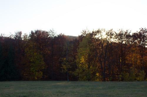 Apartm�n Essi T�le- Chopok