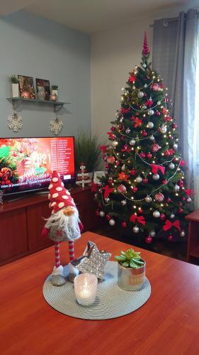 Apartm�n Patris 40