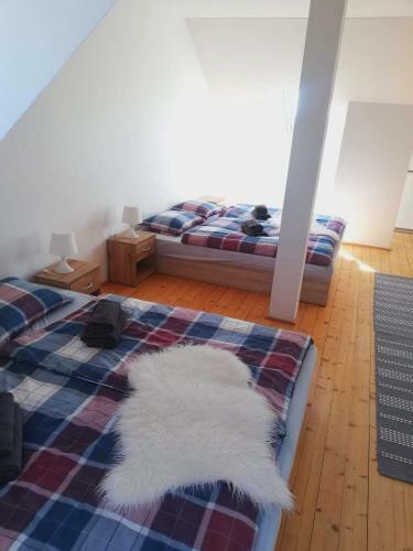 Apartman Glacier