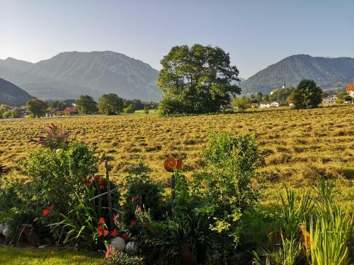 Apartamentos Ferienwohnung H�rndlwand Ruhpolding