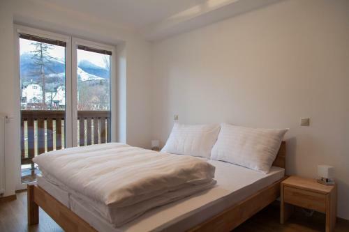 Apartm�n Borievka