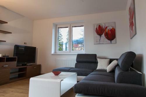 Apartm�n Borievka