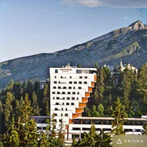 Apartment In High Tatras (4**** Panorama Hotel)