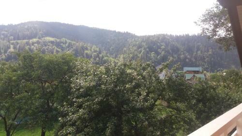 Lodge Nota Bene Mykulychyn