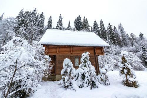 Mayak Chalet Resort Mykulychyn