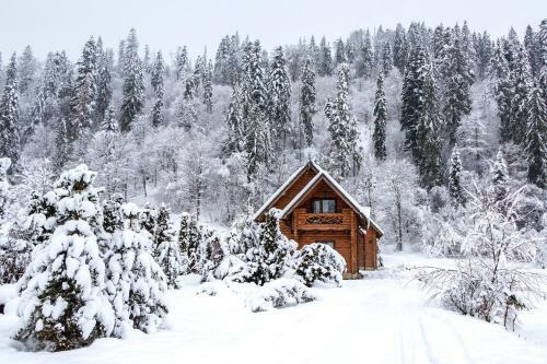 Mayak Chalet Resort Mykulychyn