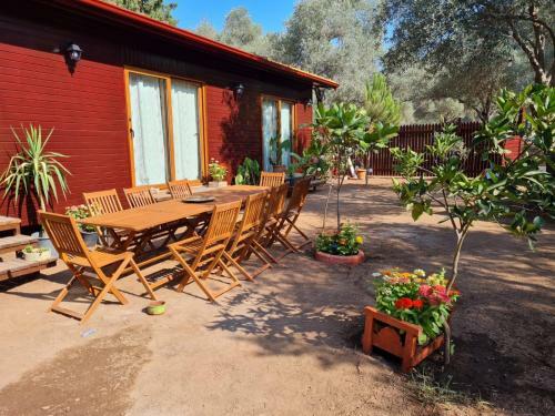 Bed & Breakfast Ekincik Art Camp