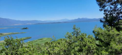 Bed & Breakfast Ekincik Art Camp