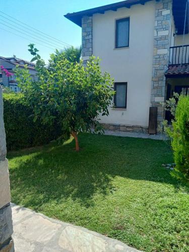 Villa Olivia Houses 2 Worth To Look At