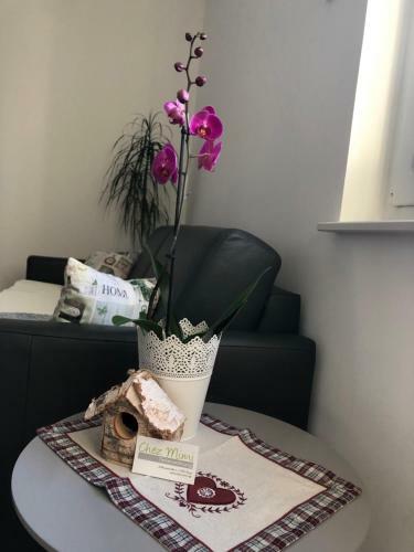 Apartamento Chez Mimi