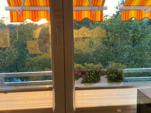 Apartment Mit Sonnenbalkon Und Netflix Im Zentrum