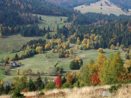 Apartamento Fewo C2 F�r Bis Zu 2 Personen
