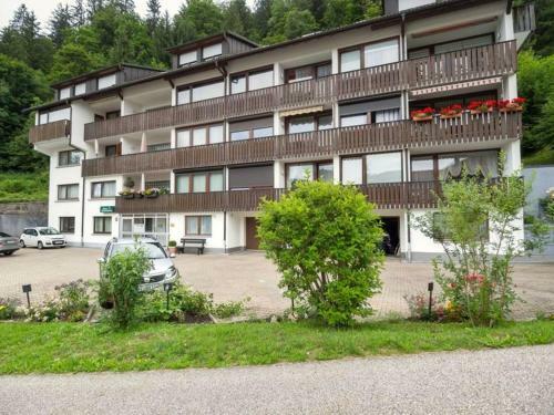 Apartamento Gib Mir Funf! Ferienwohnung In St. Blasien