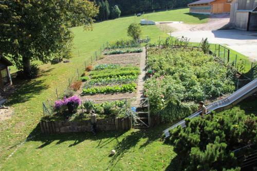 Apartamento Ferienbauernhof-holops