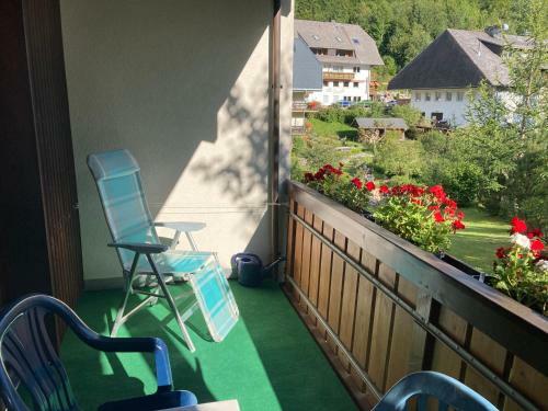 Apartamento Gem�tliche Ferienwohnung In Sankt Blasien